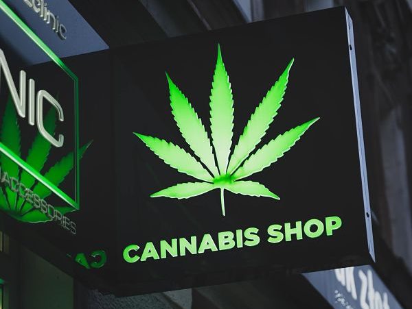 cannabis dispensary board